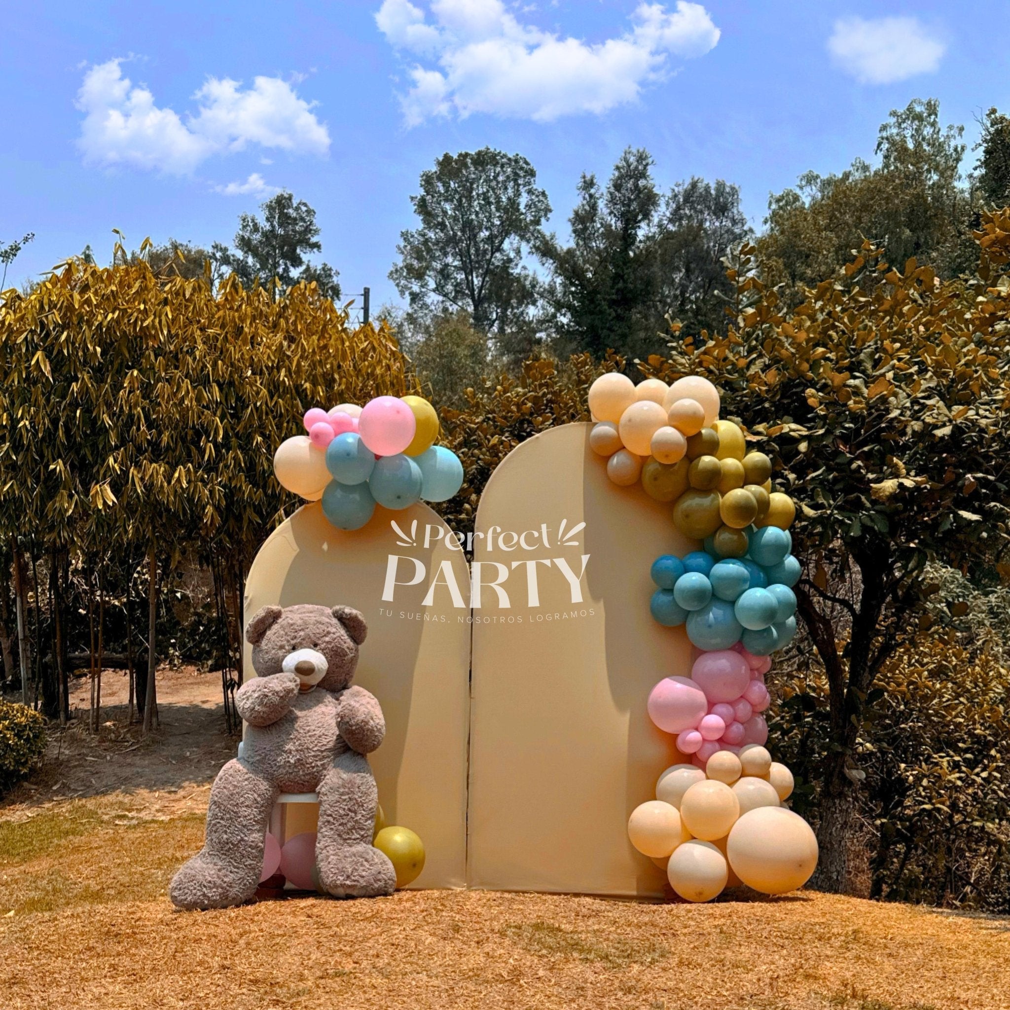 Revelación de género | Mampara de globos - Perfect Party